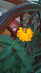 IMG 20150113 143419