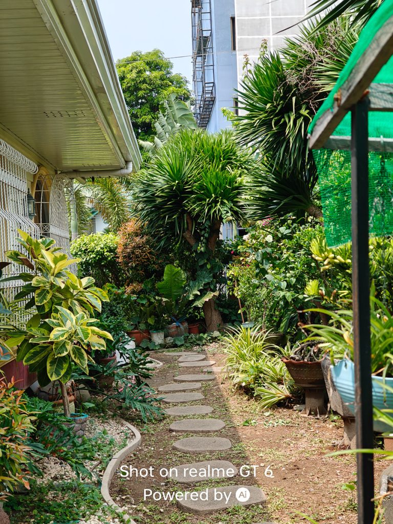 realme gt 6 sample photo